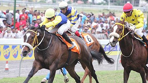 Horse Racing: Ségéon Fires Before the Day of Barbé