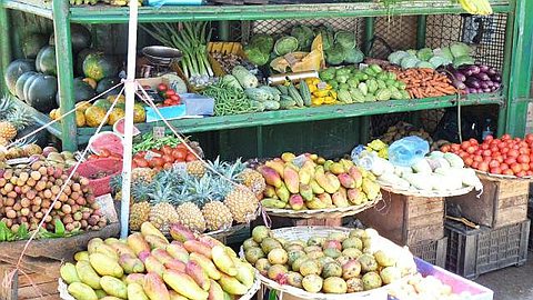 Ebola: Fruits, Plantes et Animaux Interdits d’Importation