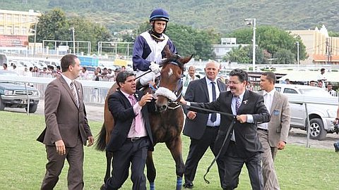Hippisme : Sous le Charme de L’écurie Perdrau