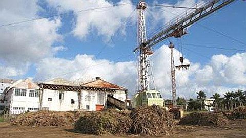 The Sugar Company Rose-Belle Has no Money for Salaries for May