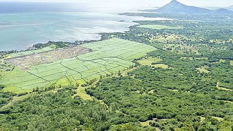 Chamarel: un Parc d’Ecotourisme à Rs 40 m