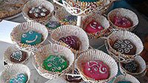 Aaleemee Society