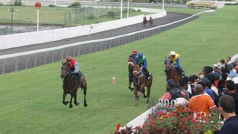 Horse Racing, Season 2013: MTC Ready for the Challenge