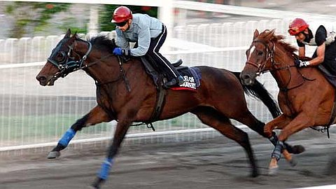 Horse Racing - 3rd and 4th Days in 2013: Weekend Racing within Mourning