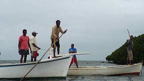 Fisheries: The Fisheries Bill presented for first reading to Parliament