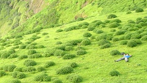 Time Flies: Here's How to Slow It Down