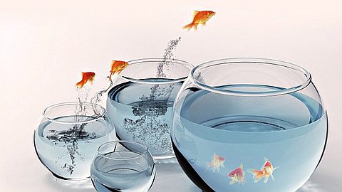 Making the Transition to Entrepreneurship: 4 Steps