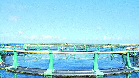 La Mer, Prochaine Industrie Phare de Maurice?