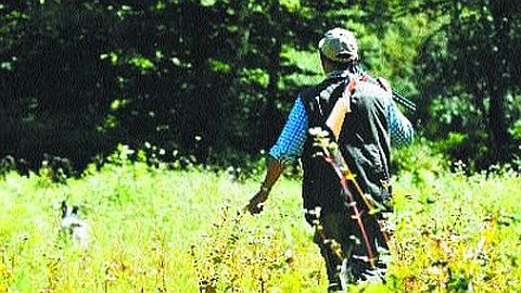 Night Hunting Could be Banned