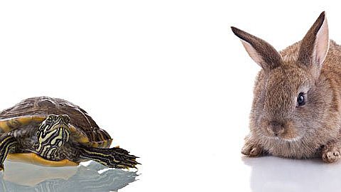 Stay Nimble, Be Quick: 3 Tips