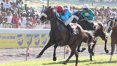 Equestrianism (11th day): Accelero Keeps Its Winning Streak