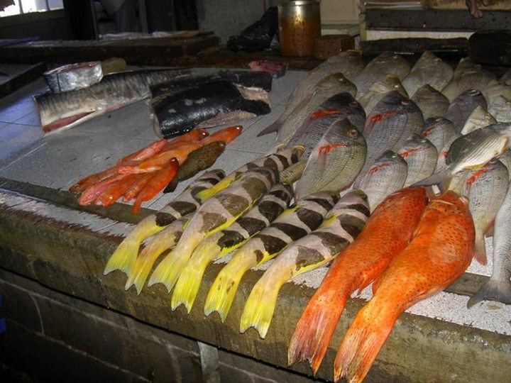 Seafood Hub: Investment of Rs 40 Billion in 2014