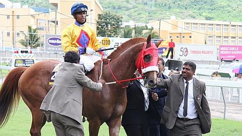 Turf: Zip It Case Referred to the Police