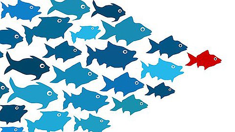 Women in Networking Ltd