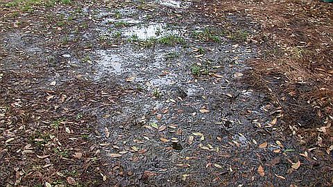 2000 kms of pipes to be replaced