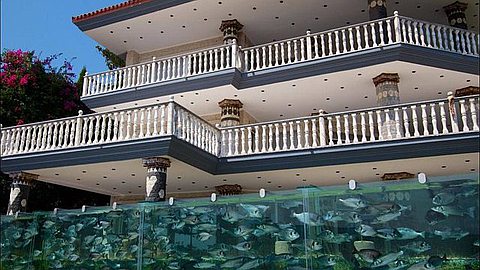 Picture of the Day: Fence from Aquarium