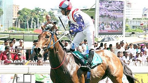 17th Day (Championship 3-years): Commodore Pete Best Placed in the 2nd Round