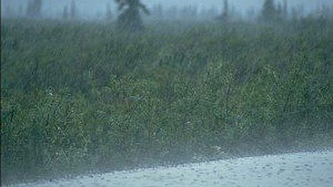 Risk Of Heavy Rains: All Higher Institutions Closed In 14 Hours