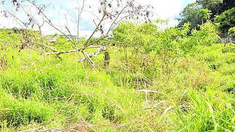 Cleaning Fee Add-On to Building Permit