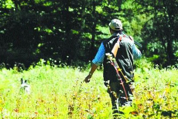 Night Hunting Could be Banned
