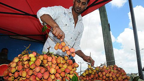 Harvest 2012: First Season Lychee for Rs 800 per Kilo