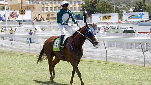 Equestrianism, Tigger Case: Serge Henry Fined Rs 50,000