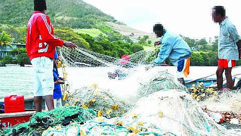 Mare Chicose: Several Million Fishing Equipment Destroyed