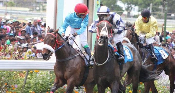 Le Jockey Arena Arrêté à l’Aéroport...