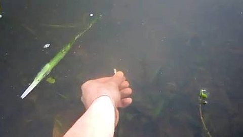 Video of the Day: Fishing Like a Boss