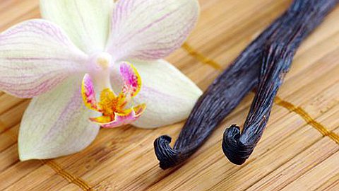 Madagascar: Vanilla, Development