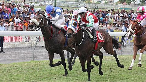 Horse Racing, 38th day: Ghost Dog Stops Istiqraar