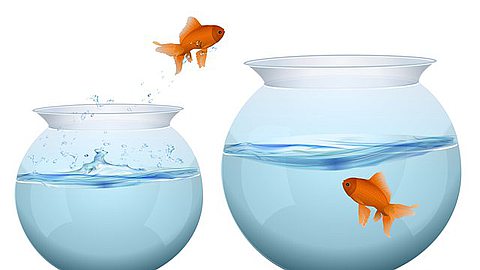 Dramatically Increase Your Revenue: 6 Tips