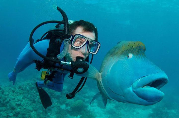 Picture of the Day: This Fish’s Face is Priceless
