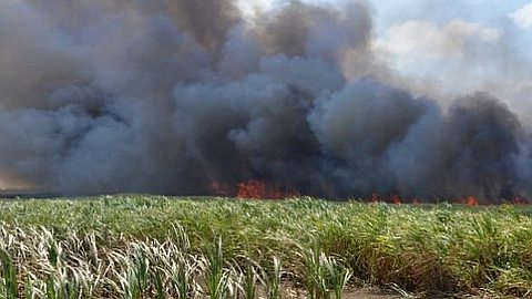 Les Incendies Dans le Nord Seraient «d'Origine Criminelle»