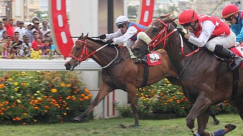 Horse Racing - 39th Day: Ségéon Ended Season in Style