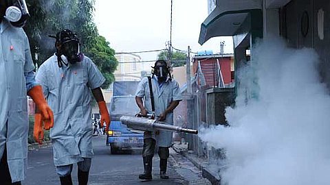 Dengue: Triolet on Alert