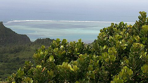 Piste d’atterrissage à Rodrigues : des discussions entamées avec la Banque Mondiale