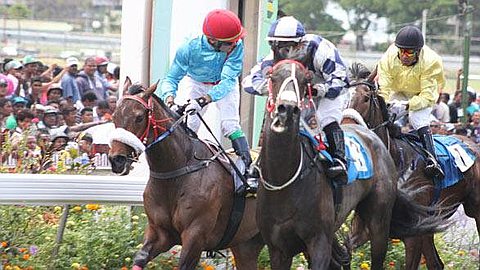 Le Jockey Arena Arrêté à l’Aéroport. Le Jockey Corne Orffer Ecope d’une Suspension de Quatre Journées