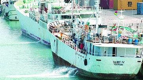 Peste : Contrôle Rigoureux des Navires et des Passagers