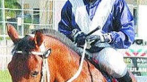 Bardottier et Bundhoo Sanctionnés