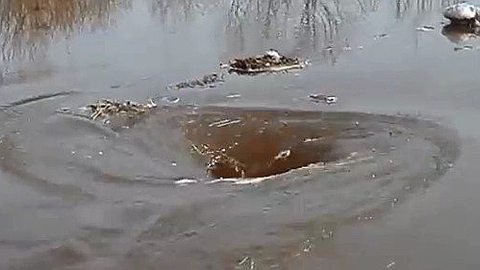 Video of the Day: Scary Water Whirlpool That Eats Everything