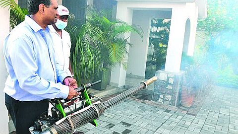 Dengue: Seven New Cases Registered in 24 Hours