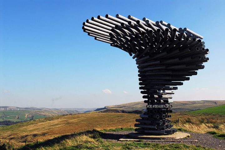 Video of the Day: The Singing Ringing Tree