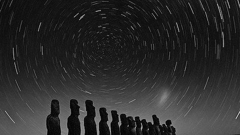 Picture of the Day: Star Gazers