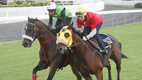 Turf Season 2013: Opening of the Main Track this Morning