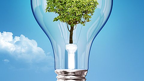 Énergie Verte: l’Eclosion