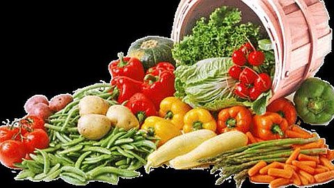 Tent Bazaar Pipengaille And Love Apple Do Not Have The Potato