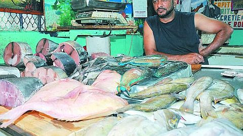 Poisson Frais: Hausse de Prix à l’Horizon