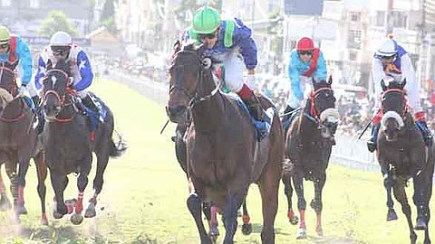 Horse Racing, The Barbé Cup: Tales Of Bravery Flaunts its Class