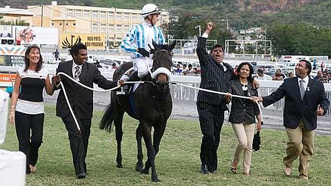 Horse Racing: 12 Horses Entered in the Barbé